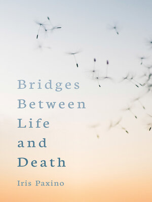 cover image of Bridges Between Life and Death